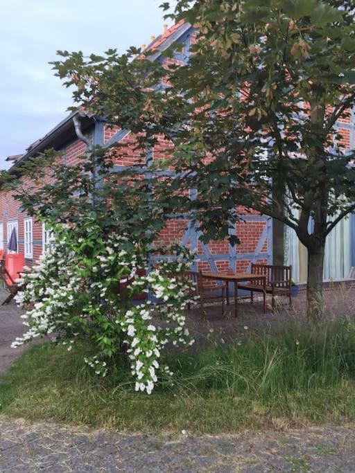 Entspannung In Der Schoenen Lueneburger Heide Gohrde 外观 照片
