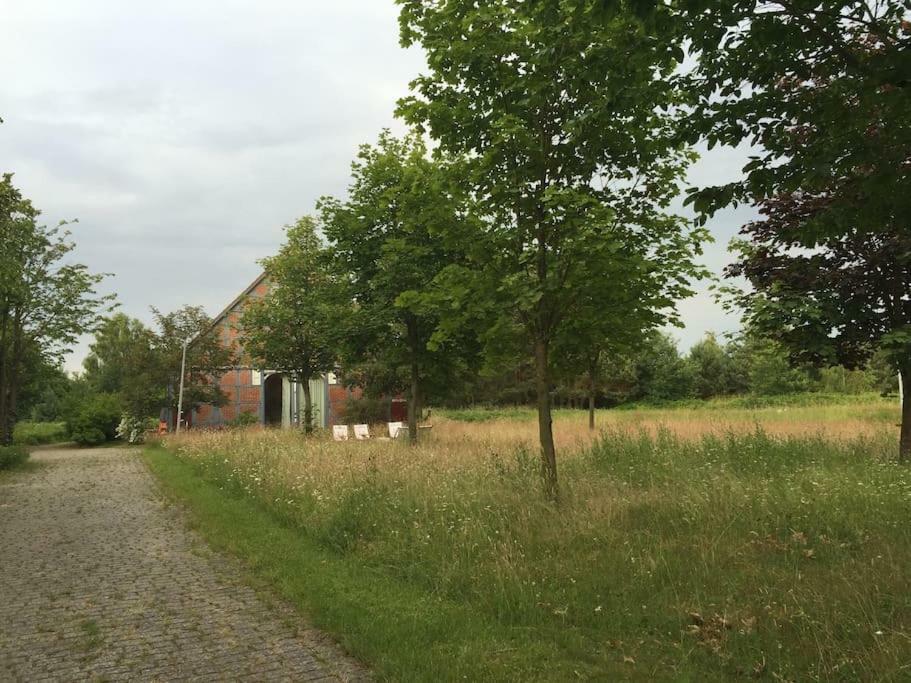 Entspannung In Der Schoenen Lueneburger Heide Gohrde 外观 照片