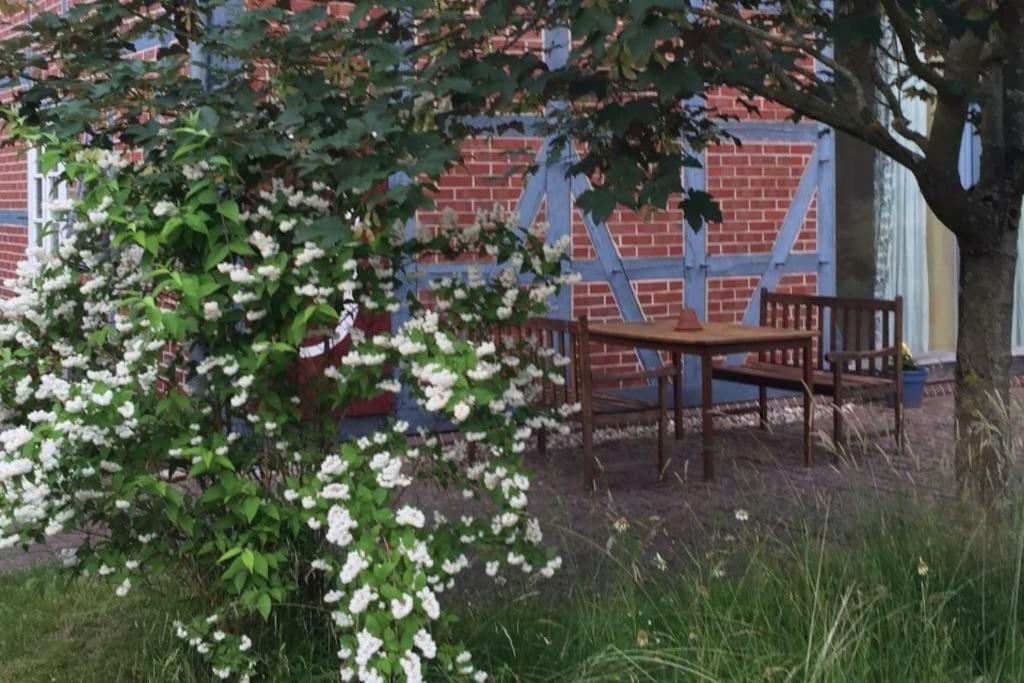 Entspannung In Der Schoenen Lueneburger Heide Gohrde 外观 照片